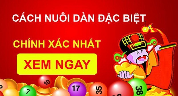 Kinh nghiệm nuôi Lô đặc biệt dành cho người mới vào chơi