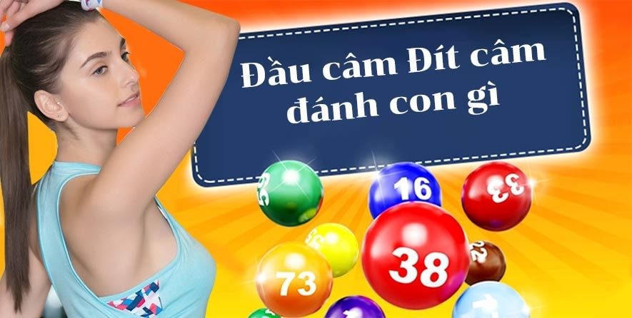 một số kinh nghiệm bắt đầu, đuôi câm bạn cần biết